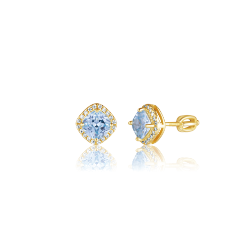 Náušnice SVLE3453XH2GASR