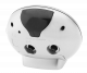 LED budík JVD SRP810.11