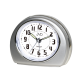 Budík JVD SRP9501.2