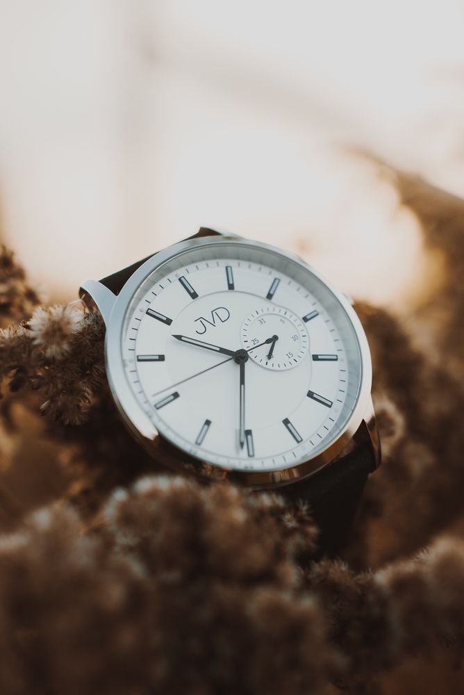 Náramkové hodinky JVD JZ8001.1