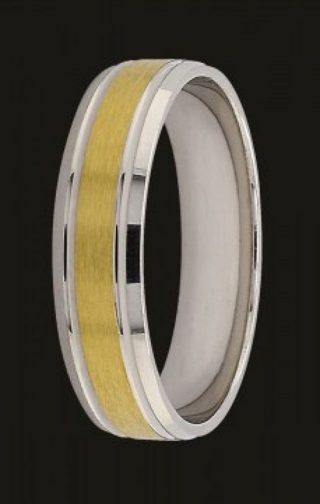Stříbrné snubní prsteny C1010
