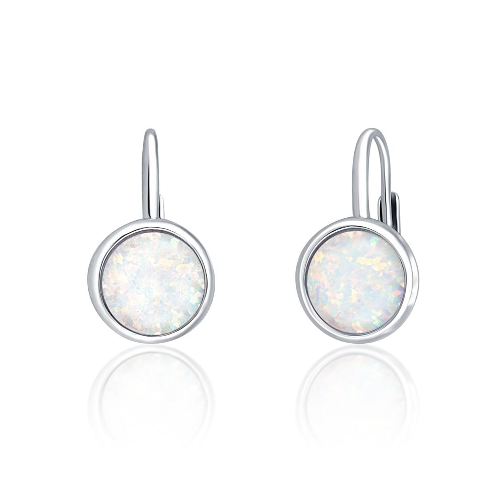 Náušnice SVLE0697XH2O106