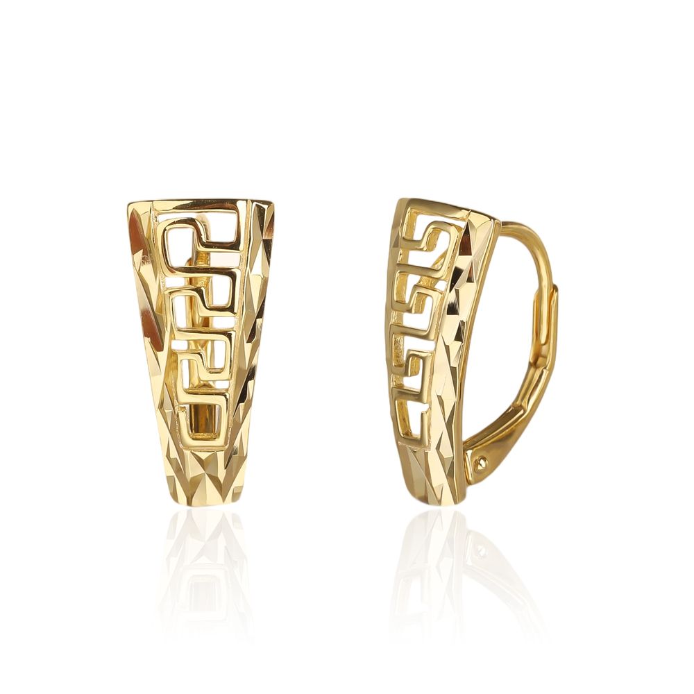 Náušnice SVLE3511XJ6GO00