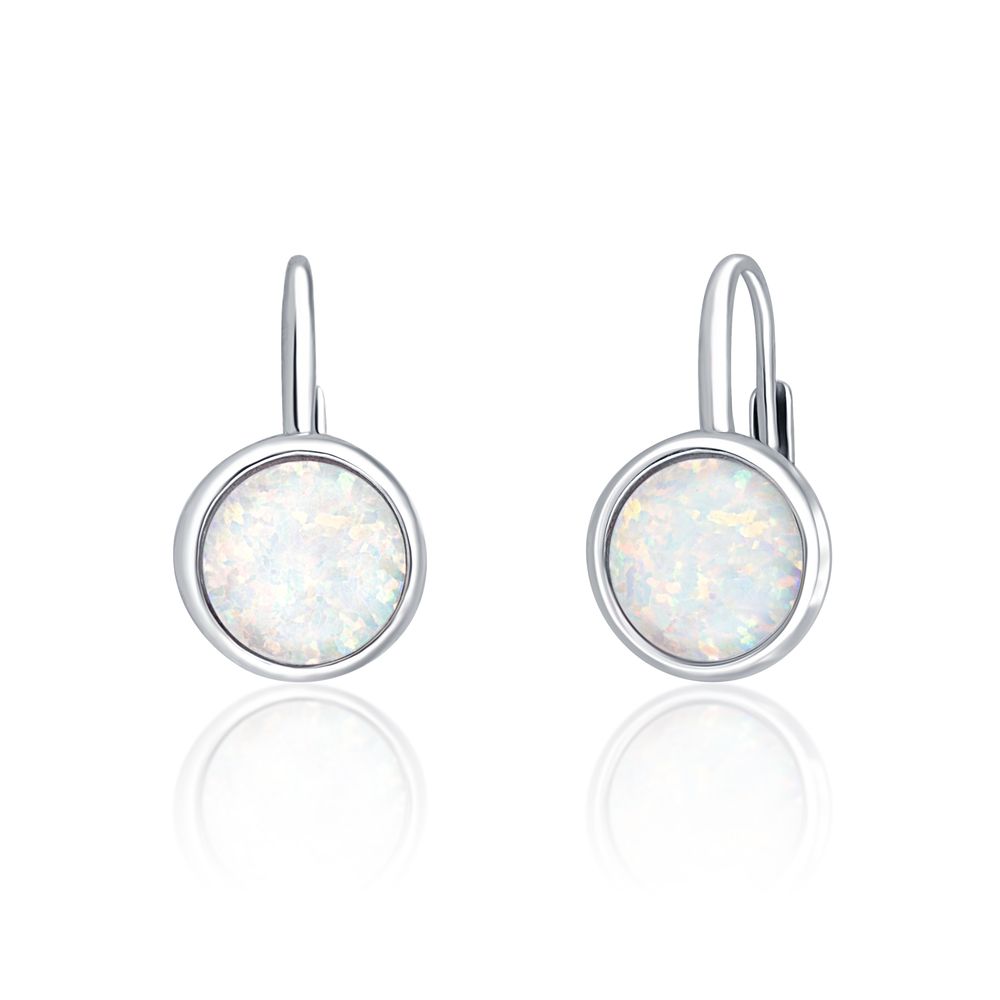 Náušnice SVLE0697XH2O100